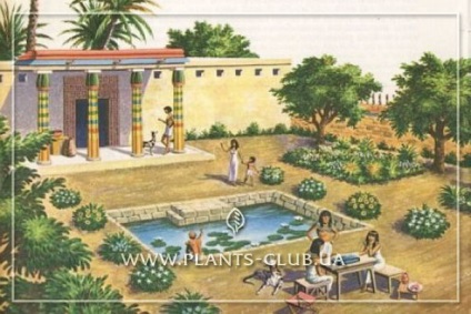 A történelem kerttervezés - az ókortól napjainkig