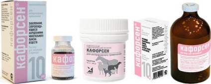 Kaforsen - használati utasítás kutyák, ár és vélemények „hogy mancs”