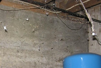 Hogyan lehet megszabadulni a penész a pincében, jó tanács (gomba) Hogyan lehet megszabadulni a penész a pincében, jó tanács