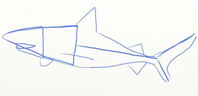 Hogyan kell felhívni a cápa szakaszosan, reális ceruzarajz cápák
