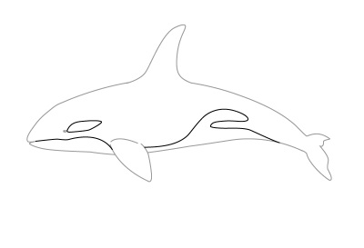 Hogyan kell felhívni a gyilkos bálna ceruza szakaszaiban