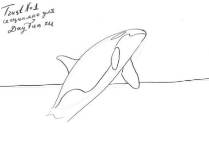 Hogyan kell felhívni a bálna ceruza szakaszaiban