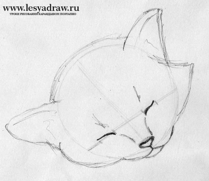 Hogyan kell felhívni egy alvó cica fokozatosan ceruza - tanulságok levonása - hasznos artsphera