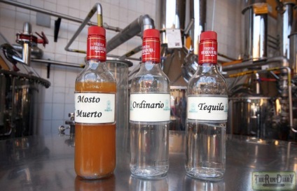 Hogyan inni tequila, típusai és jellemzői a termelés