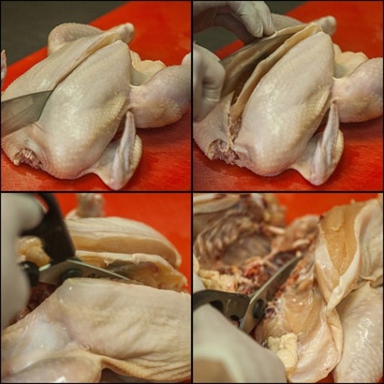 Hogyan helyesen vágni a csirkét és gyorsan süssük a sütőben egy gyors eljárás