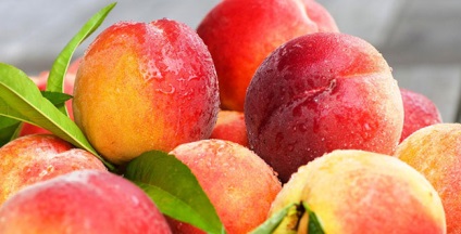 Hogyan kell főzni a lekvárt őszibarack a tél egy egyszerű recept fényképpel (lekvár) Hogyan kell főzni a lekvárt őszibarack a tél egy egyszerű recept egy fotó