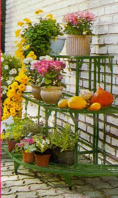 Hogyan kell elhelyezni a virágok az erkélyen kertészeti erkélyek és loggiák kezük