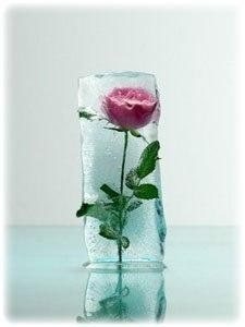 Hogyan készítsünk jég rózsa