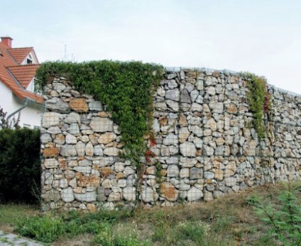 Hogyan lehet a gabion kerítés kezüket lépésről lépésre fotókkal és videó