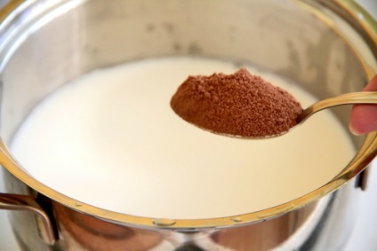 Hogyan kell főzni a kakaó tejjel