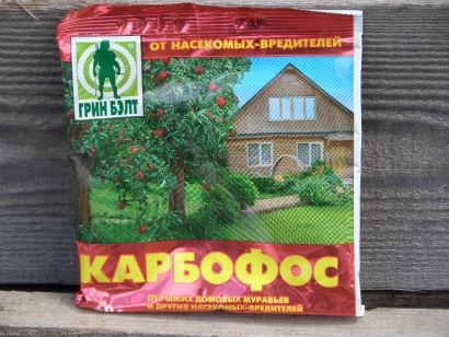 Malation alkalmazás - rovarirtó kártevők ellen (fák és bokrok egy ország saját) Malation alkalmazás - rovarirtó kártevők ellen
