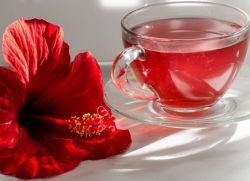 Vörös tea - előnyei és hátrányai