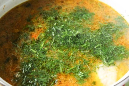 Csirke leves rizs és burgonya recept egy fotó nélkül zazharki