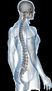 Osteochondrosis kezelése és scoliosis a mellkasi gerinc