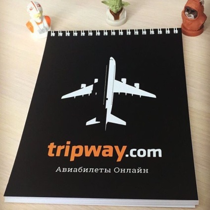 Mi repül az Egyesült Államokban, hogy hogyan kap egy jegyet, és töltse ki a vámáru-nyilatkozatot, tripway