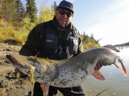 Pike halászat ráz fejét a nyáron, tavasszal, ősszel és télen