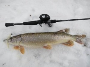 Pike halászat ráz fejét a nyáron, tavasszal, ősszel és télen