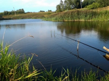 Pike halászat úszó rúd