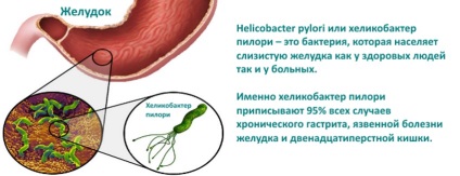 Kábítószer-kezelés Gastroduodenitis felnőtteknél segítségével drogok (help) Kábítószer-kezelés Gastroduodenitis felnőtteknél alkalmazásával gyógyszerek