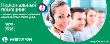 Mobil Online hangszóró Assistant (Assistant) Online Mobile Assistant hangszóró