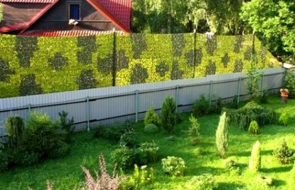 Tehetek Siketek kerítések szomszédok közötti és a helyszínek az országban (ez lehetséges) Tehetek Siketek kerítések szomszédok közötti és a helyszínek az országban
