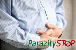 Parazita betegségek kezelésére tehenek és kezelésük