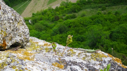 Cave város Eski-Kermen Krímben fotók, hogyan lehet eljutni, mit kell látni