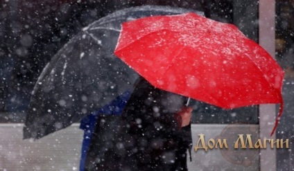 Helyesírás az eső és a hó, mint egy jogi aktus, tél, az eső, a temetőben, a virág, a hatásait