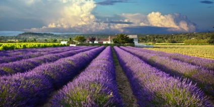 Provence Guide to Provence, látnivalók, térképek
