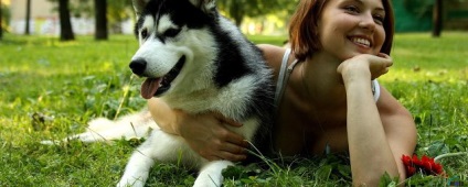 Pszichológus kutyák - blog állatorvosok - belanta
