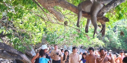 Phuket szeptemberben, strandok, pihenés, a víz hőmérséklete, a levegő