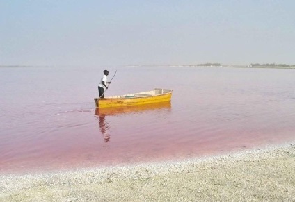 Rózsaszín-tó Szenegál Retba (15 fotó)