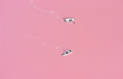 Rózsaszín-tó Szenegálban - Hírek képekben