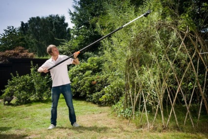 Garden Ágvágó, hogyan kell kiválasztani a megfelelő kerti szerszámok