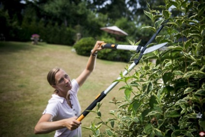 Garden Ágvágó, hogyan kell kiválasztani a megfelelő kerti szerszámok
