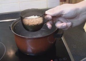 Salapinskaya rendetlenség - recept