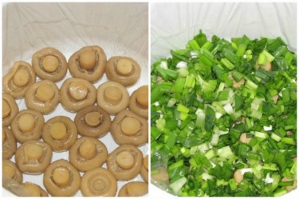 Saláta - Gomba Glade - egy klasszikus recept, és Alla származó Kovalcsuk