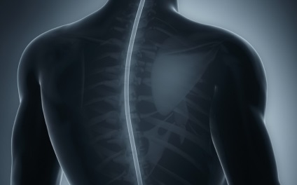 Equine szindróma gerincvelő hátsó mi ez, tünetek, kezelés