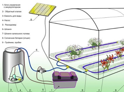 Öntözőrendszerek üvegházak, hogyan lehet az automata berendezés saját kezűleg
