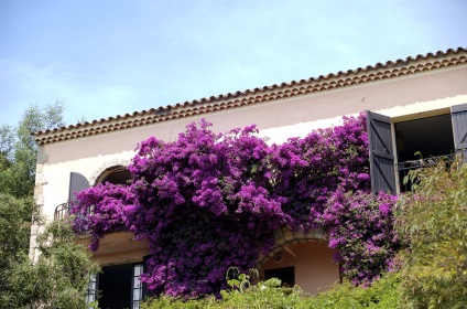 Mesés provence város Bormes-les-mimóza