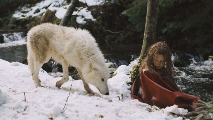 Listája a legérdekesebb filmek farkasok