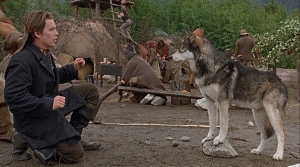 Listája a legérdekesebb filmek farkasok