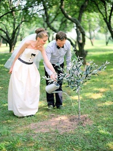 Esküvői hagyományok és ültess fát