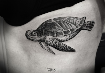 Tattoo - Turtle értéke lányok, fiúk, és az övezetben