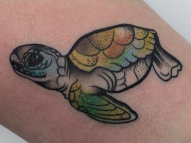 Turtle tetoválás - vagyis kép - tetováló stúdió laktanya