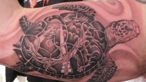 tetoválás teknősök