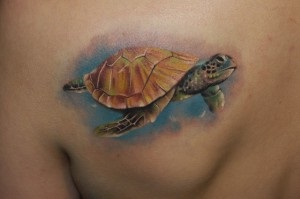 tetoválás teknősök