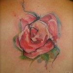 Tattoo emelkedett 7 értékei 80 fotók és vázlatok a legjobb (tetoválás) Tattoo emelkedett 7 értékei 80 fotók és vázlatok a legjobb