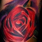 Tattoo emelkedett 7 értékei 80 fotók és vázlatok a legjobb (rózsa) Tattoo emelkedett 7 értékei 80 fotók és vázlatok a legjobb