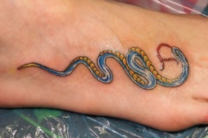 Snake tattoo (értelmét, fotók, vázlatok), tattoofotos